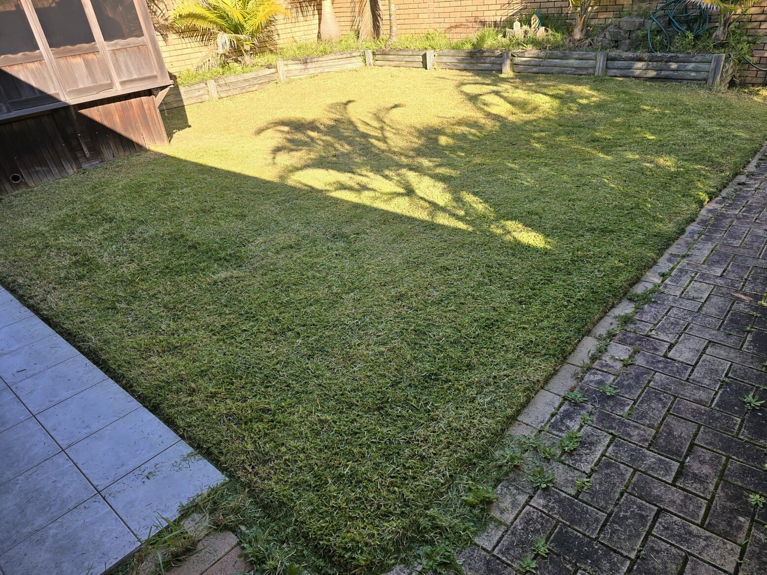 The same backyard lawn after: cut short and evenly edged