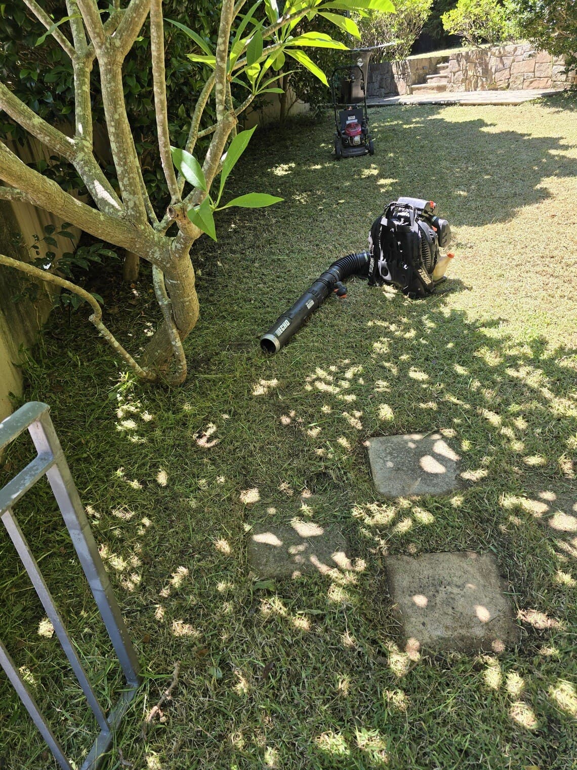 The same path after mowing, with the stepping stones uncovered