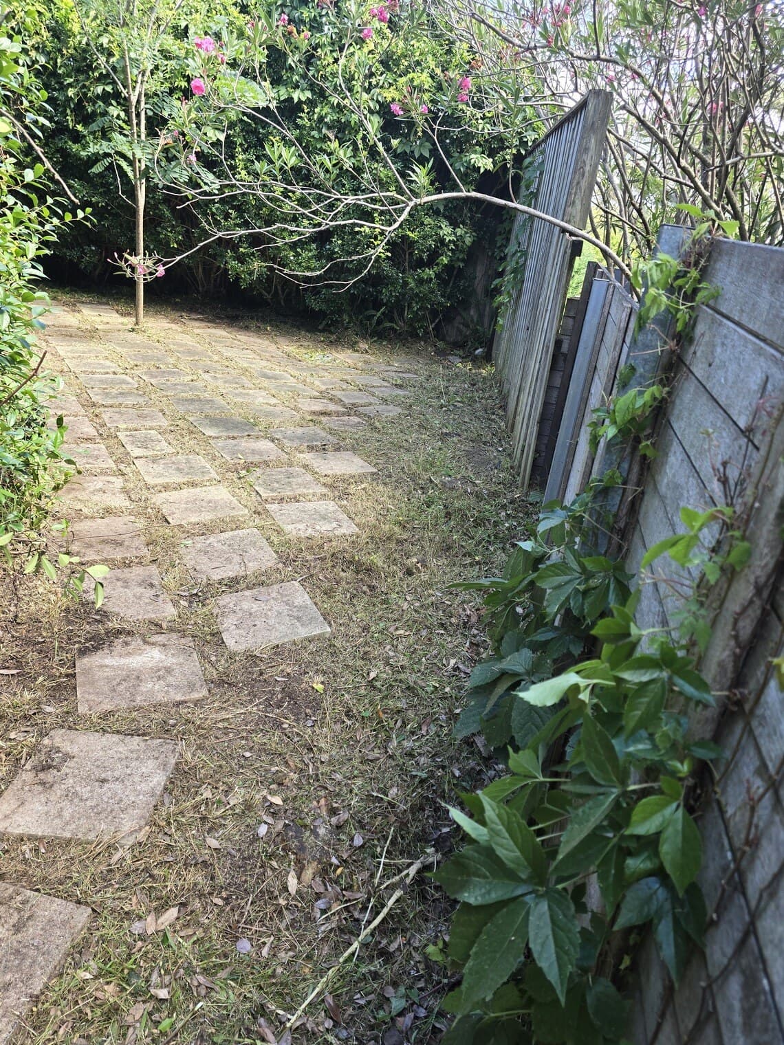 The same side path cleared, with the paver stepping stones visible again