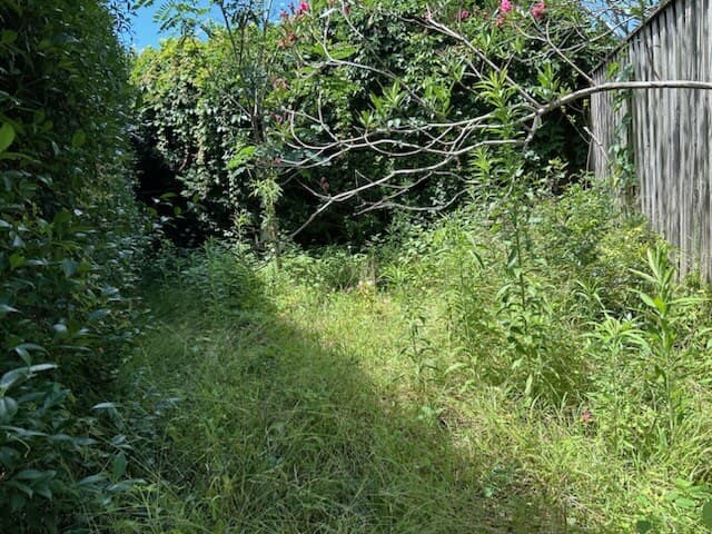 A side path completely overgrown with long grass and weeds