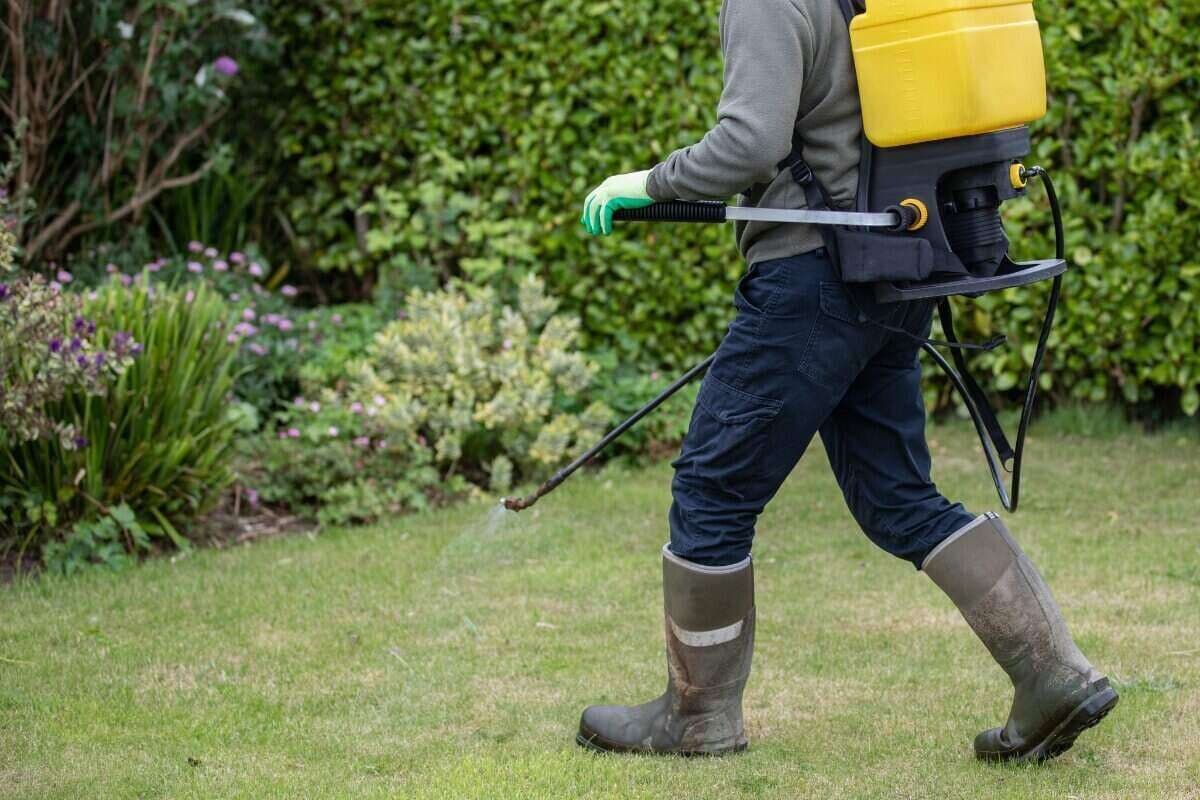 Garden maintenance work in progress