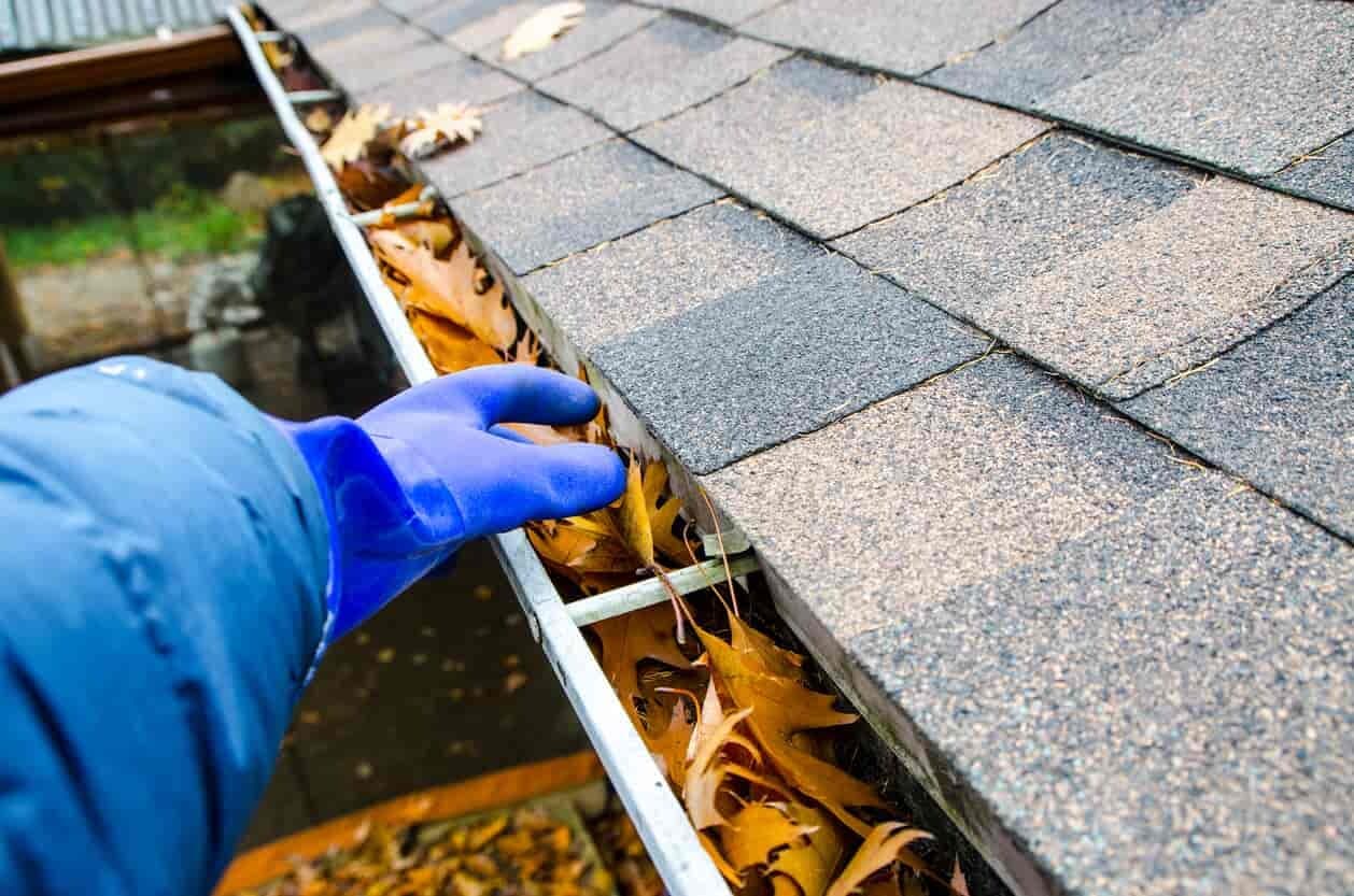 Leaves being cleared from a roof gutter