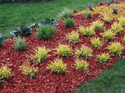Fresh mulch being spread across a garden bed
